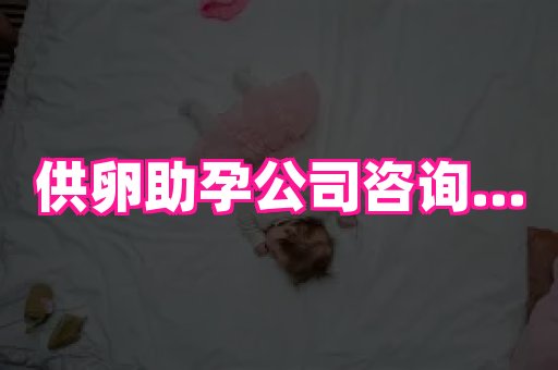 安徽助孕网 4
